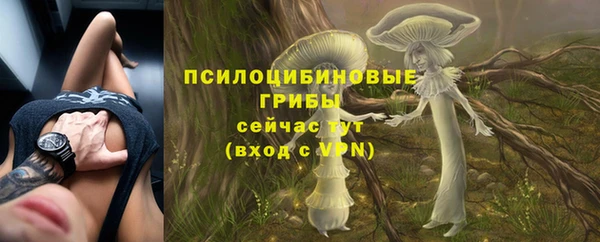 гидропоника Богородицк